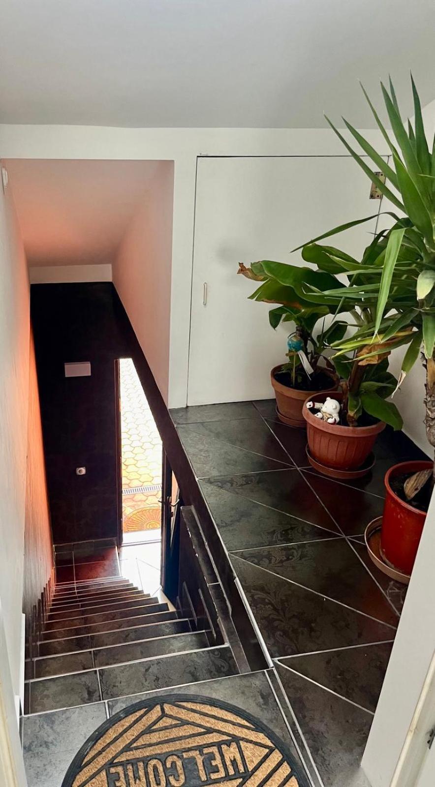 Chill Apartman Budakalász Zewnętrze zdjęcie